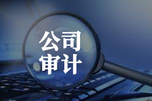 公司内部审计的必要性(公司内部审计的作用有哪些)公司审计