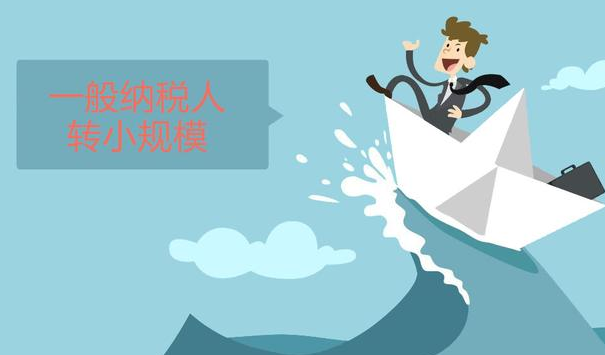 一般纳税人