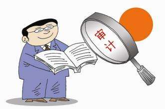 浙江金华公司审计